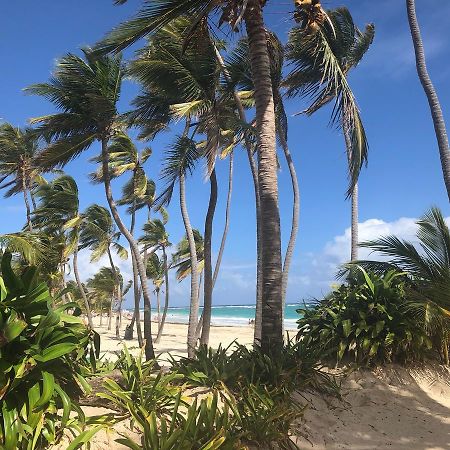 Art Villa Dominicana Punta Cana Luaran gambar