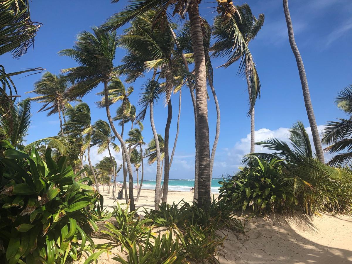 Art Villa Dominicana Punta Cana Luaran gambar